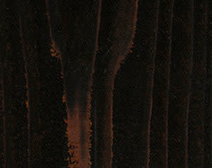 Wood Defender Transparent Fence Stain (5 gal)