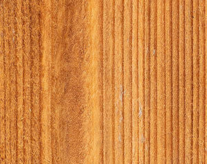 Wood Defender Transparent Fence Stain (5 gal)