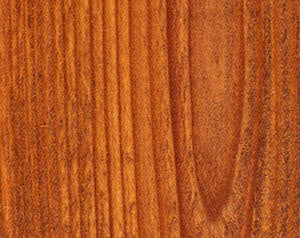 Wood Defender Transparent Fence Stain (5 gal)
