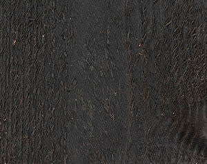 Wood Defender Semi-Transparent Fence Stain (1 gal)