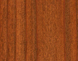 Wood Defender Semi-Transparent Fence Stain (5 gal)