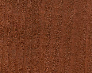 Wood Defender Semi-Transparent Fence Stain (1 gal)