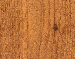 Wood Defender Semi-Transparent Fence Stain (5 gal)