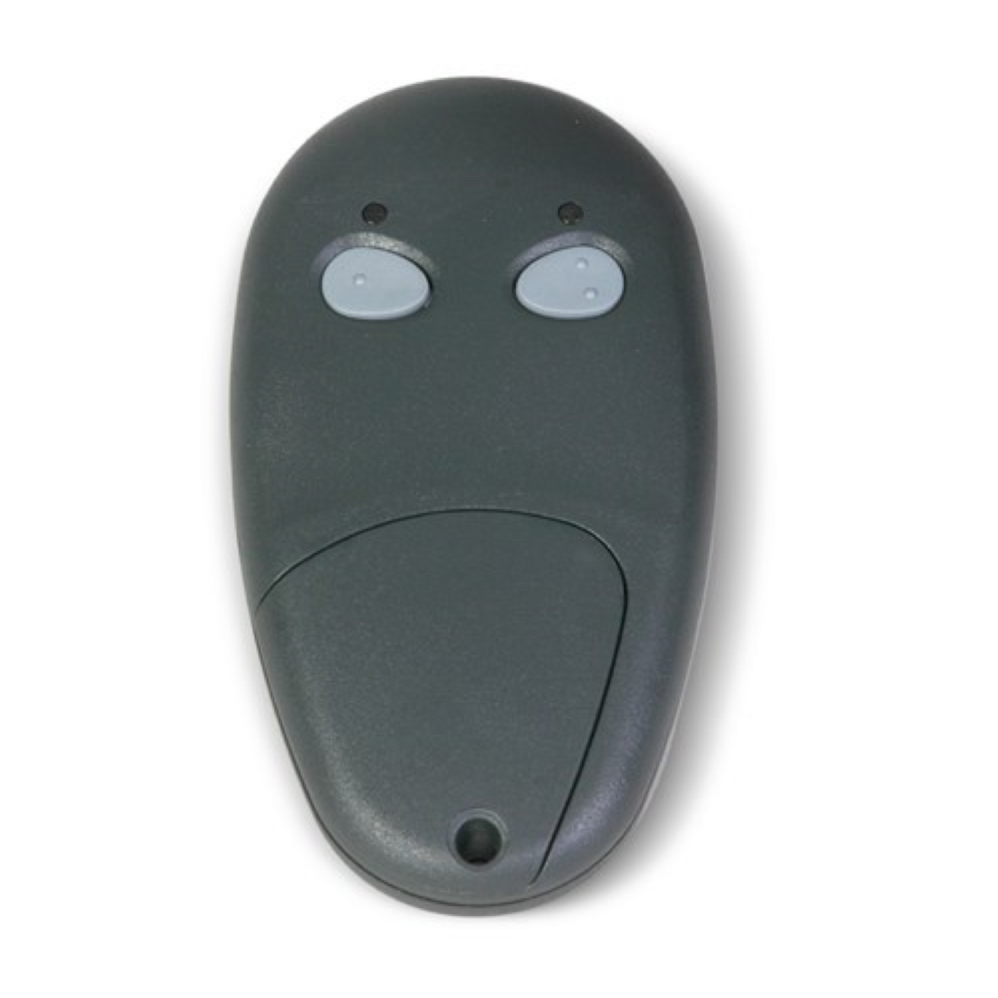 LCR 2-Button Transmitter
