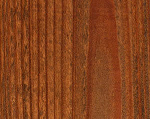 Wood Defender Transparent Fence Stain (5 gal)