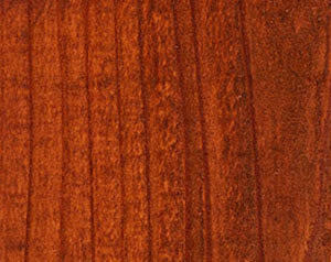 Wood Defender Transparent Fence Stain (5 gal)