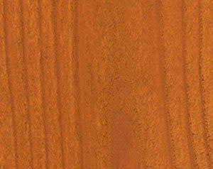 Wood Defender Semi-Transparent Fence Stain (5 gal)